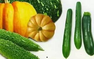 吃瓜网ym26,ym26背后的故事与真相