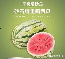 1元吃瓜网红,网红吃瓜界的传奇崛起