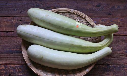 5.1吃瓜网官网最新网站,揭秘最新网站功能与亮点