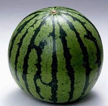 网红吃瓜网图照片素材,揭秘网络红人的“瓜田”生活