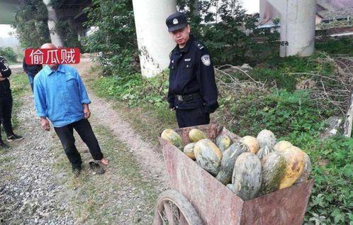 西昌吃瓜事件网红视频,网红视频引发的网络狂欢与反思