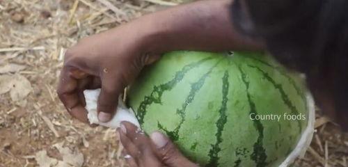 网红吃瓜五万粉丝,五万粉丝见证美食之旅