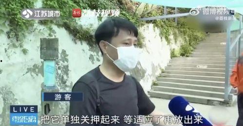 吃瓜网红父女,揭秘娱乐圈背后的温馨故事