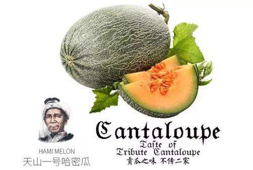 认真吃瓜网红是谁啊图片,网络红人的魅力与影响力