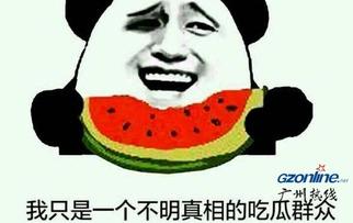 认真吃瓜网红是谁啊图片,网络红人的魅力与影响力