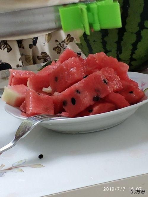 网红吃瓜神器新款下载,吃瓜神器新款下载，解锁全新娱乐体验！