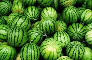 网红的QQ吃瓜群,幕后故事与八卦风云