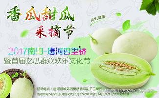 网红吃瓜大集合图片高清,高清图鉴揭秘娱乐圈幕后风云