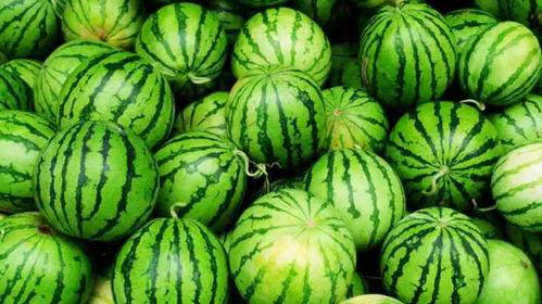 网爆门反差吃瓜,反差吃瓜背后的真相揭秘