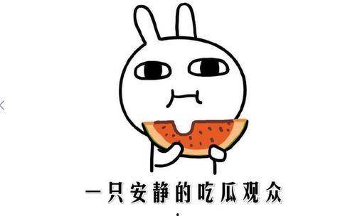 全网吃瓜网红是谁呀,揭秘网络红人的神秘面纱