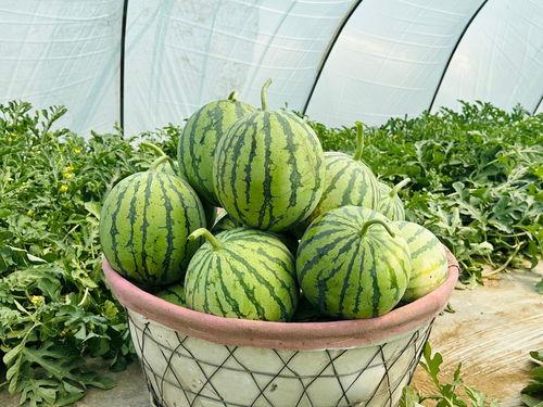 最新最快的吃瓜网,最新热门事件盘点，揭秘娱乐圈幕后真相！