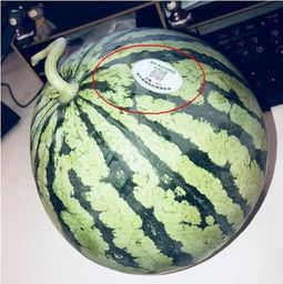 伦敦吃瓜网红是谁,街头美食背后的故事