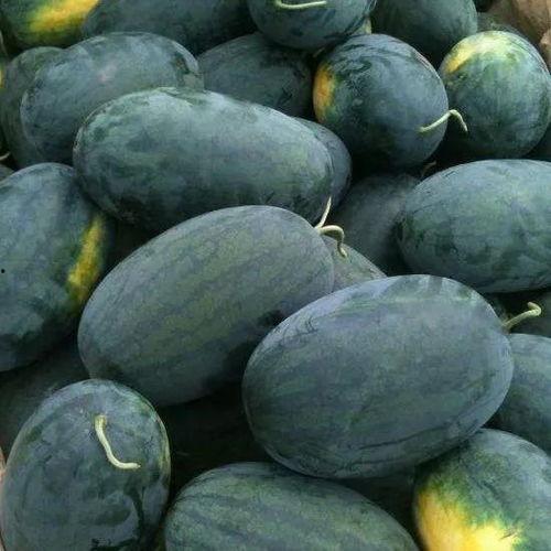 51抖音黑料吃瓜网,吃瓜网带你探秘网络舆论风云