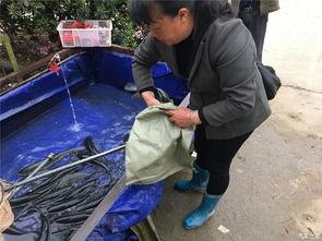 五八吃瓜群众网