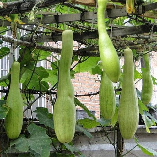 吃瓜网砍一刀,揭秘网络舆论背后的真相