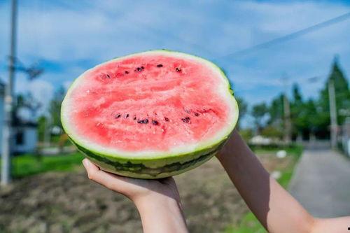 吃瓜网的其他特点是什么,趣味横生，特色鲜明的网络社区全解析