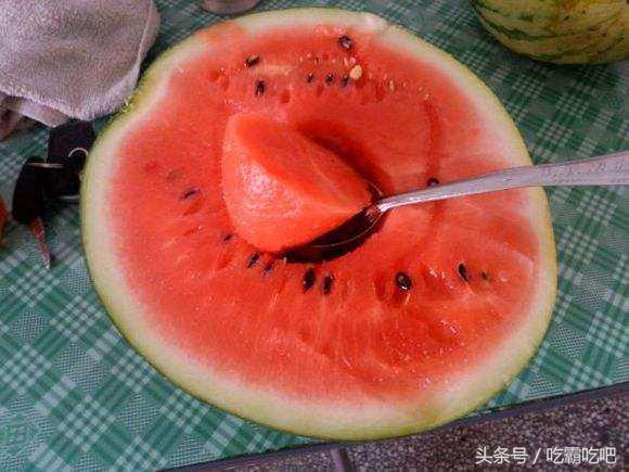 中国网友吃瓜网