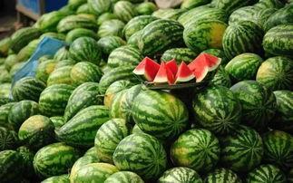 武都网红吃瓜事件真相是真的吗,真相揭秘，还原事件始末