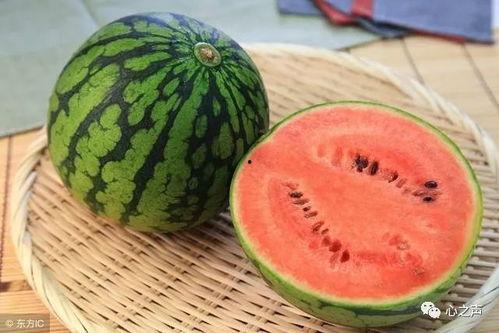 网红吃瓜最近是真的吗,真相还是炒作？最新进展揭秘