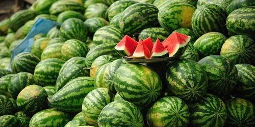 西昌吃瓜事件网红叫什么,网红引发的网络狂欢