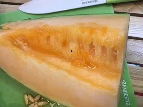 吃瓜网柳州,吃瓜网带你探索柳州特色小吃之旅