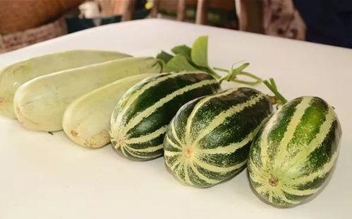 网爆网红吃瓜图片大全,盘点那些爆笑的瓜界风云