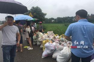 红网吃瓜,揭秘娱乐圈幕后真相