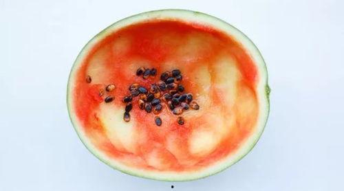 网红吃瓜勺子图片高清大图,高清大图揭秘网红美食新潮流