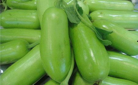 网红吃长蒲瓜的视频,口感奇特引网友热议！