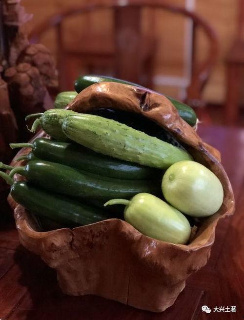 网红瓜哪里吃,探寻最佳品尝地