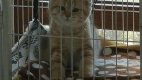 托尔吃瓜官网,揭秘娱乐圈幕后故事，带你领略明星真实一面