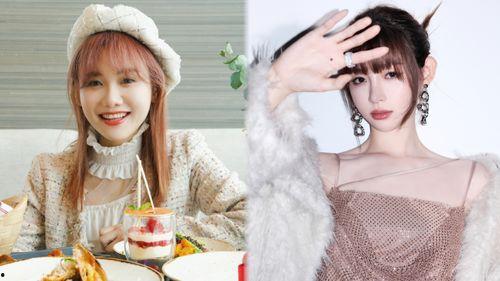 网红下海吃瓜视频大全,揭秘娱乐圈幕后风云