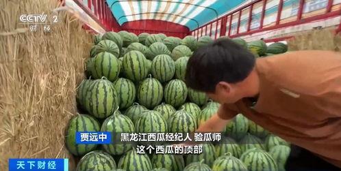 国内新闻吃瓜网,热点事件背后的真相与趣味