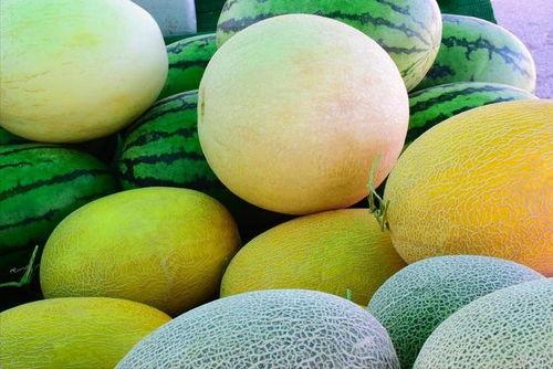 吃瓜网官网地址