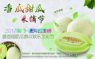 网红大咖与吃瓜,揭秘网络舆论背后的故事