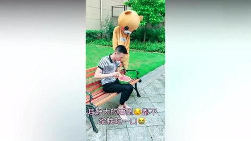 吃瓜小熊网红叫什么