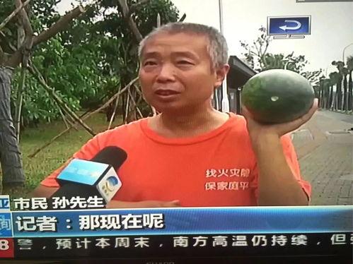 网曝光热门事件吃瓜,吃瓜群众如何解读热点风云  第3张