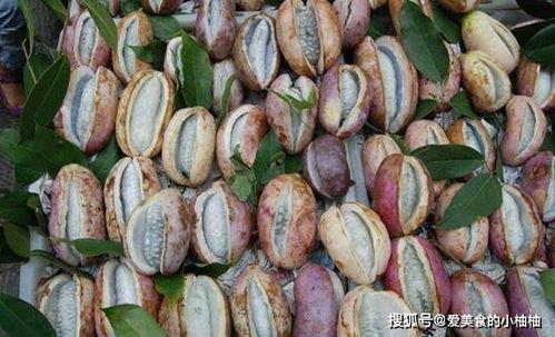 网红吃的八月瓜怎么做 第2张 网红吃的八月瓜怎么做 第2张