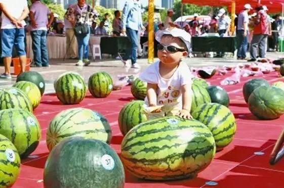 河南滑县网红视频吃瓜,揭秘当地特色美食文化  第2张