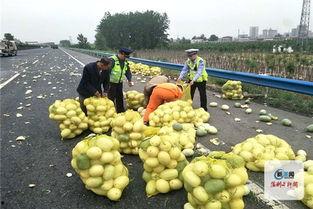 河南滑县网红视频吃瓜,揭秘当地特色美食文化  第3张