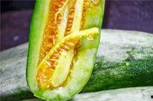 吃瓜的网红都有哪些人,揭秘网络红人的多彩人生  第3张