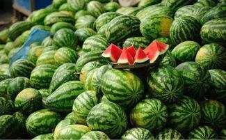 免费黑瓜吃料网入口最新,畅享美食新体验  第3张