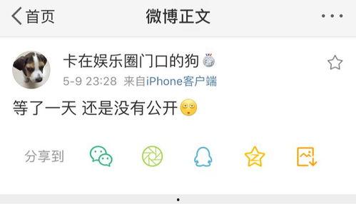 吃瓜爆料 论坛官网,揭秘娱乐圈幕后真相  第3张