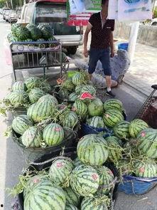 宜春网红吃瓜事件,揭秘网络舆论的风暴与真相  第3张